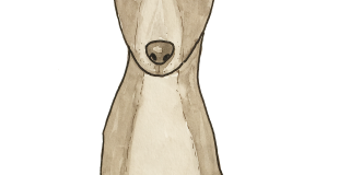 Παυλίνα Παμπούδη: Περί της Σίλας (1)