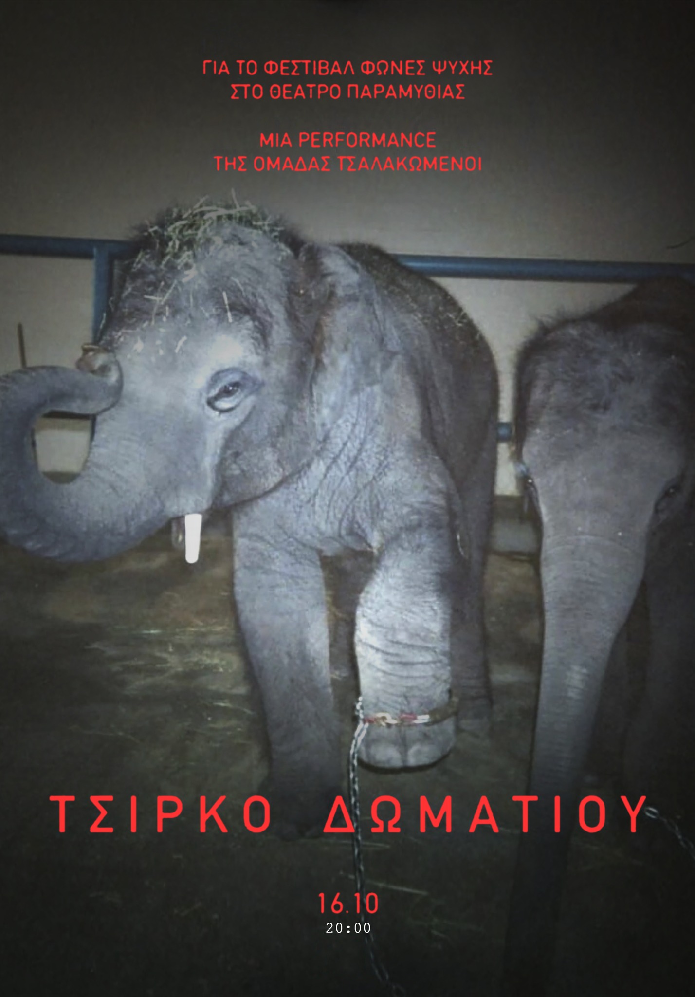 Read more about the article Κωνσταντίνος Μπούρας: «Τσίρκο δωματίου». Μια performance της θεατρικής ομάδας Τσαλακωμένοι για το φεστιβάλ “Φωνές Ψυχής – Δράσεις κατά της Βίας”.