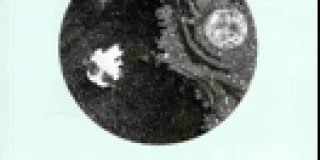 Γ. Κ. Μιχαηλίδης: Αθανασίας Κακαράντζα, Εγκυκλοπαίδεια Διαστημικού Προσανατολισμού. Εκδ. Θράκα