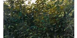 Δημήτρης Μπαλτάς: Marko Pogačar, Ο συλλέκτης των Κυριακών, (μετάφραση: Νικόλας Κουτσοδόντης, Μάρια Ντεγιάνοβιτς), εκδόσεις Θράκα, 2024, σελ. 60, ISBN 978-618-5463-84-7