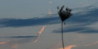 Δημήτρης Μπαλτάς: Στέλλα Πετρίδου, Παντούμ, εκδόσεις Μετρονόμος, 2025, σελ. 48, ISBN 978-618-5748-90-6   