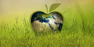 Γιατί αυτή δεν παντρεύτηκε.