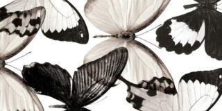 Ελπίδα Γεωργάκη:  Αν έχεις μάθει να ξεχνάς