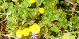 Βάλτερ Πούχνερ: Σκέψεις μικρές για θέματα μεγάλα, 18