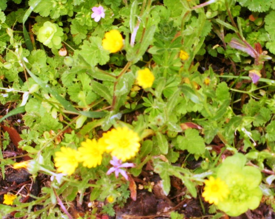 Read more about the article Βάλτερ Πούχνερ: Σκέψεις μικρές για θέματα μεγάλα, 18