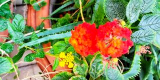 Κωνσταντίνος Μπούρας: Πόλη πολυδιαστασιακή