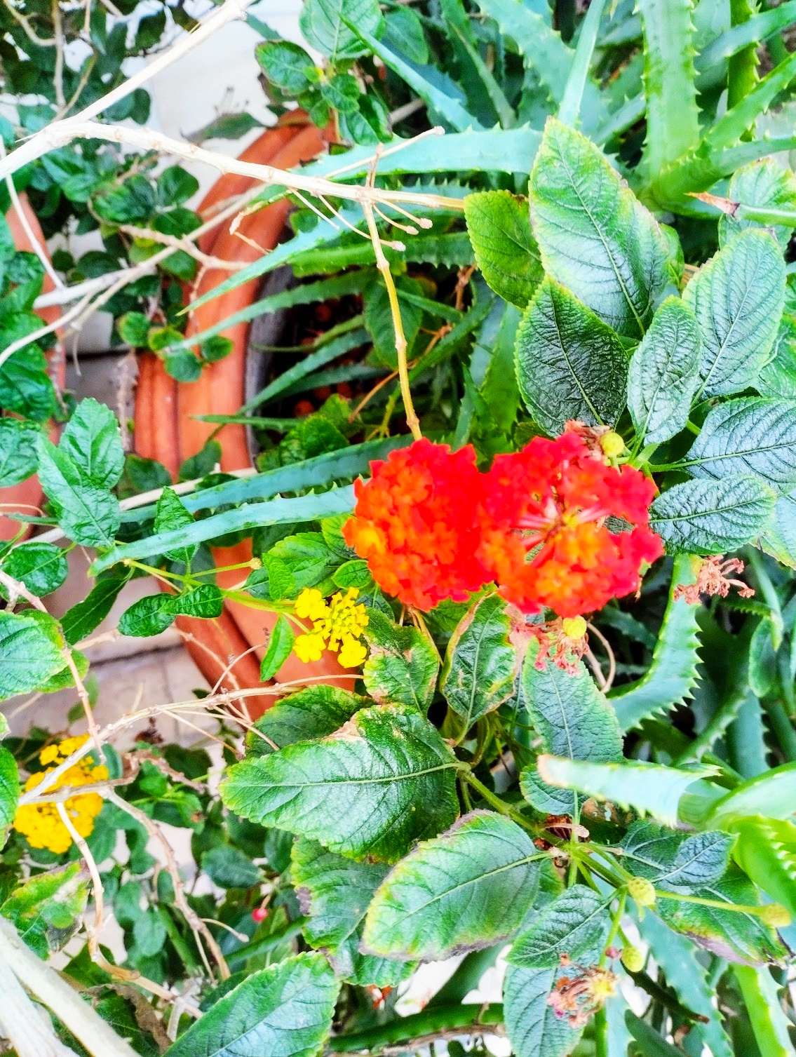 Read more about the article Κωνσταντίνος Μπούρας: Πόλη πολυδιαστασιακή