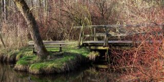 Ζαφειρούλα Καλανδράνη Παλαπουγιούκ: Ο Βάλτος