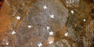 Βάλτερ Πούχνερ: Σκέψεις μικρές για θέματα μεγάλα (19)