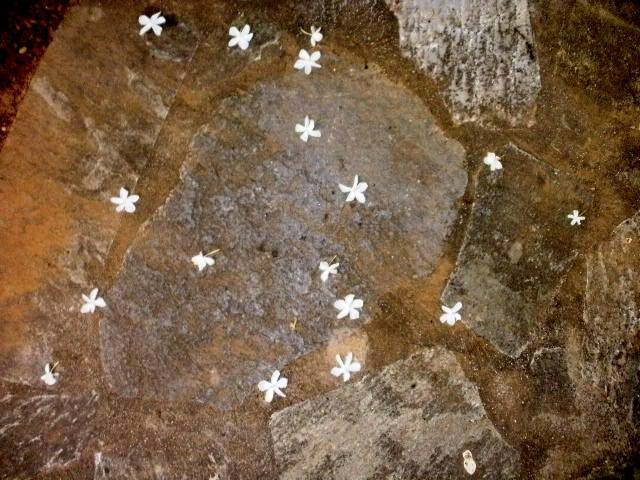 Read more about the article Βάλτερ Πούχνερ: Σκέψεις μικρές για θέματα μεγάλα (19)