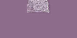 Πωλλέτα Ψυχογυιοπούλου: Θεοφάνη Λ. Παναγιωτόπουλου, Ο Χείμαρρος Των Κέδρων (εκδ. Οδός Πανός, 2022, ISBN 978-960-477-366-4)