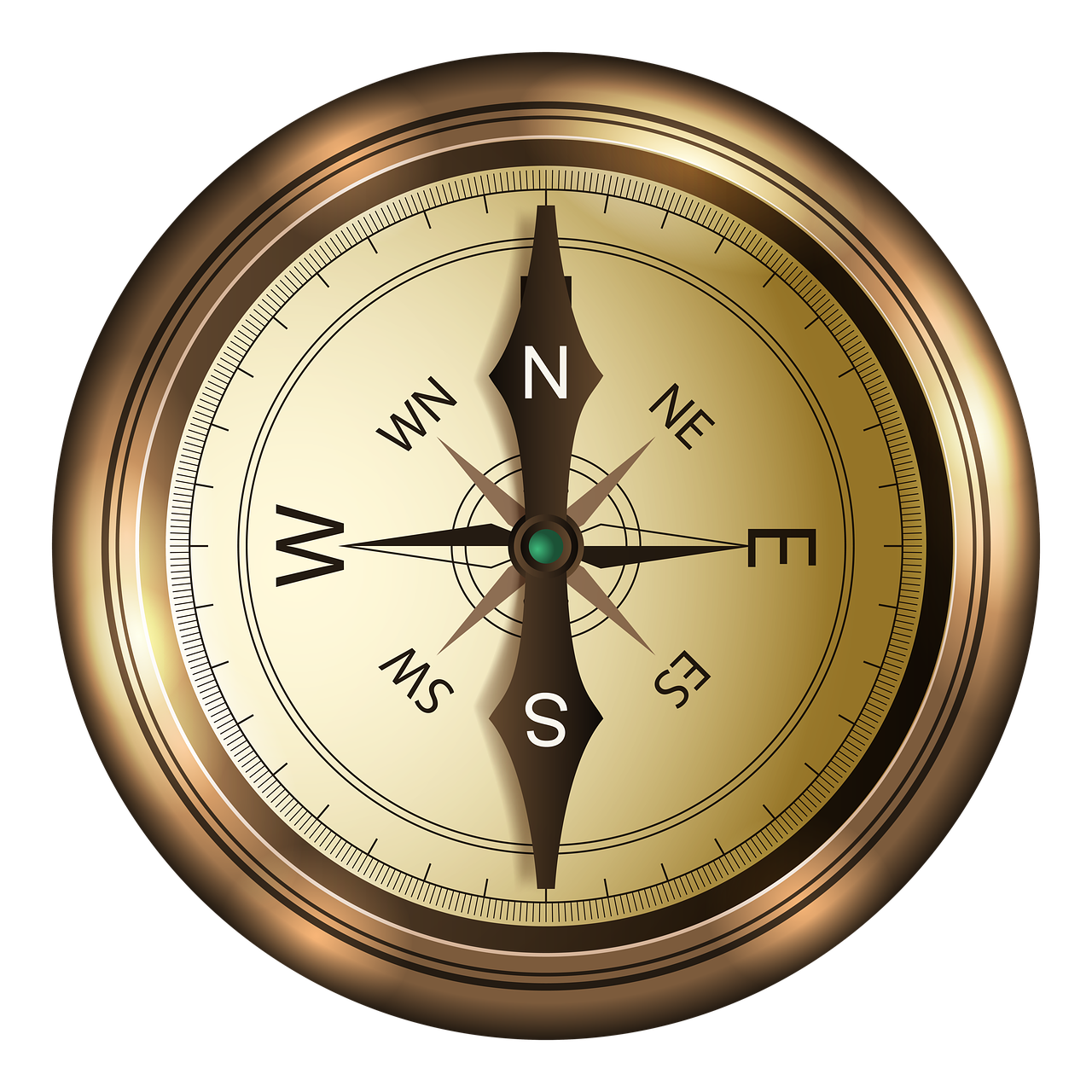 Read more about the article Βάλτερ Πούχνερ: Η πραγματικότητα των αισθήσεων