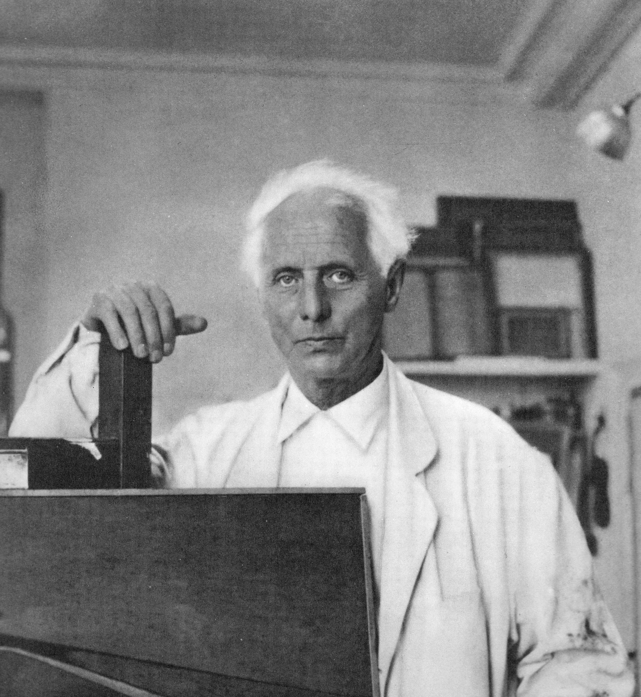 Read more about the article Κώστας Ευαγγελάτος: Οι ζωτικές μεταμορφώσεις των εικαστικών όντων του Μαξ Έρνστ