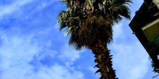 Κωνσταντίνος Μπούρας: Δραματική Ποιητική