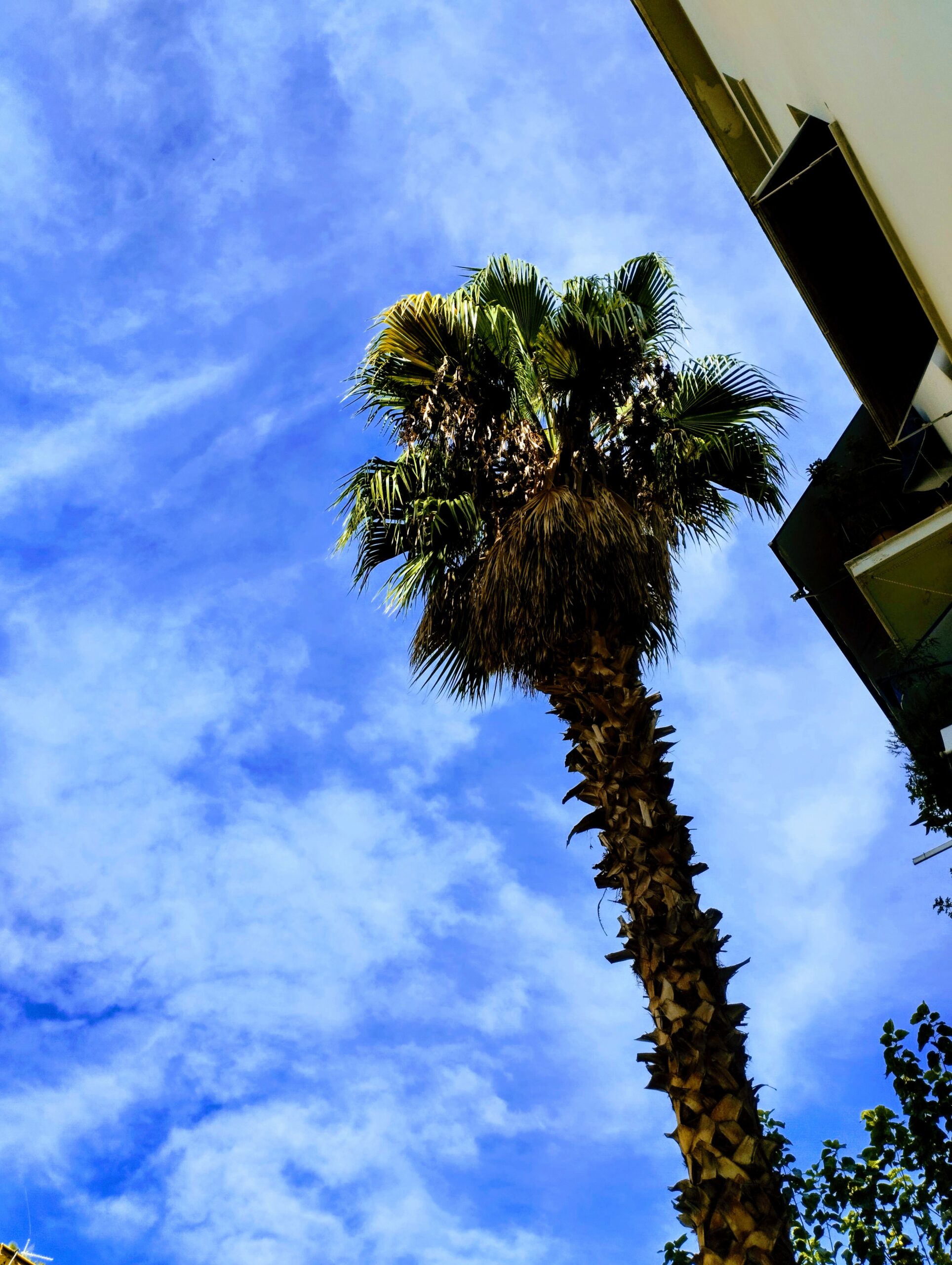 You are currently viewing Κωνσταντίνος Μπούρας: Δραματική Ποιητική