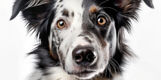 Νίκος Χαρτοματσίδης: Παραμύθια για μια προτομή (2)