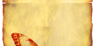 Παυλίνα Παμπούδη: Από το “Ο Λεπτουργός”