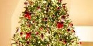 Απόστολος Καλουδάς: Δέντρο.