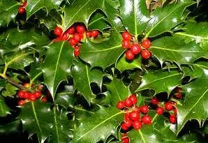 You are currently viewing Βάλτερ Πούχνερ: Σκέψεις μικρές για θέματα μεγάλα (23)