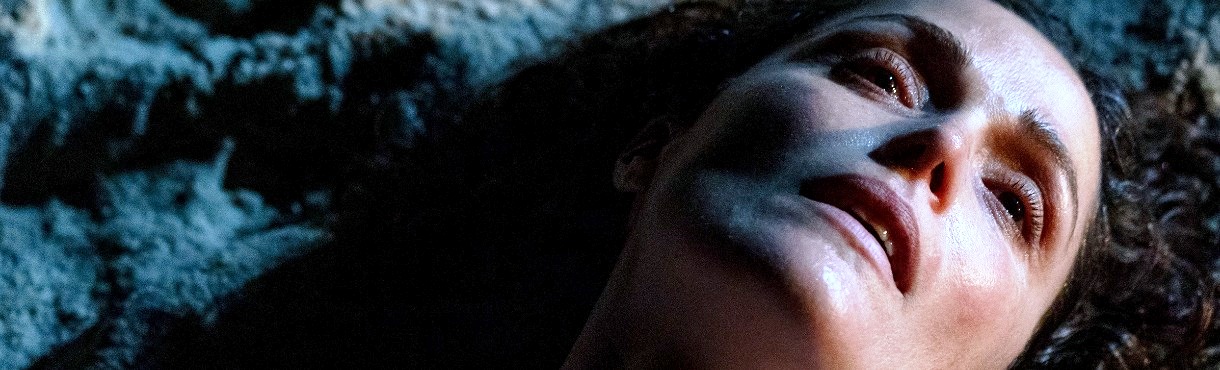 You are currently viewing Ελισσαίος Βγενόπουλος: Αν είχα Πόδια θα σε Κλωτσούσα, της Μέρι Μπρόνσταϊν