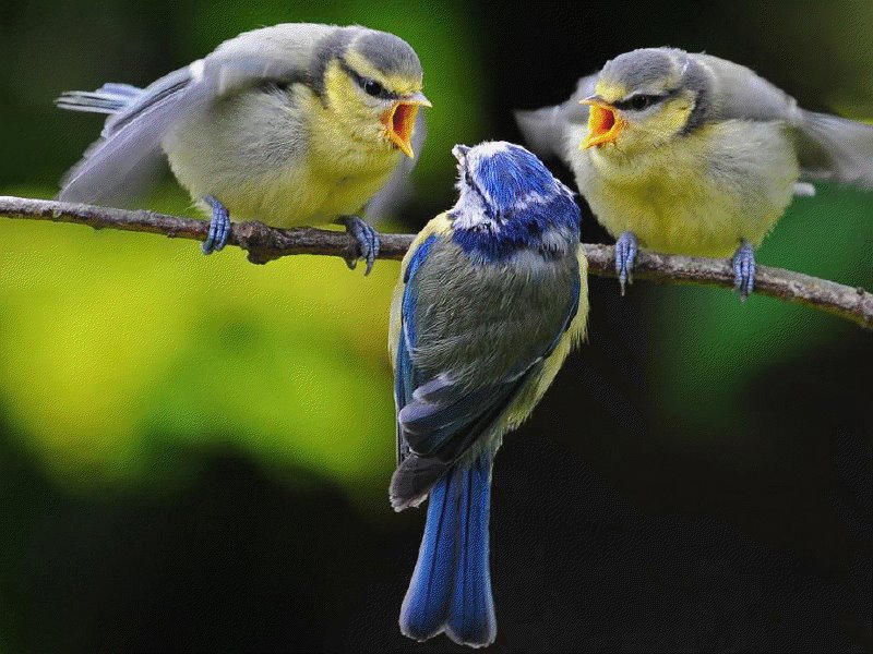 You are currently viewing Αρχοντούλα Διαβάτη: Τρία πεζά