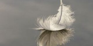 Αιμιλία  Βλαχογιάννη: Φύλακες – Άγγελοι