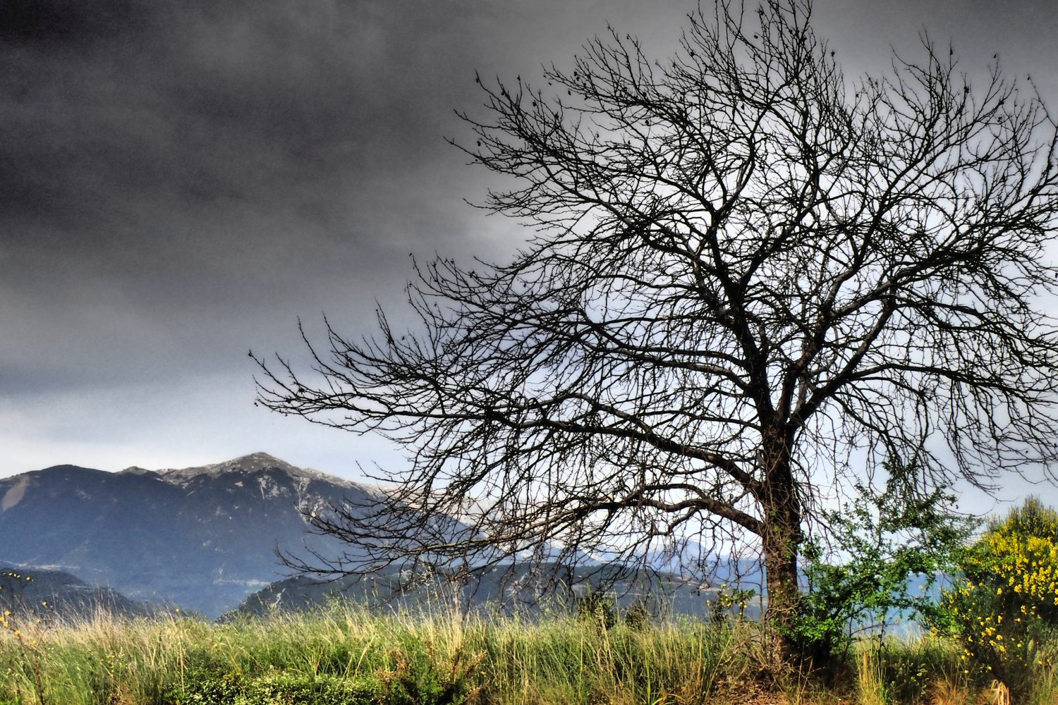 You are currently viewing Γεωργία Παπαδάκη. ΦΥΛΛΟΧΟΟΣ ⸺ ΦΥΛΛΟΚΟΜΟΣ