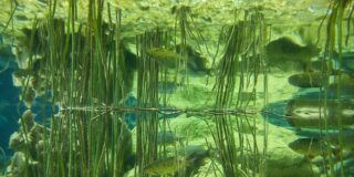 Γιώργος Μεταξάς: Τριγυρνώντας στην Battambang