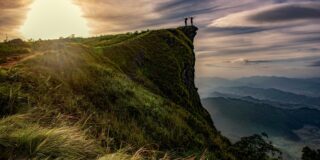 Παυλίνα Παμπούδη: Και τότε έφυγαν τα δέντρα