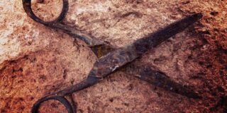 Βάλτερ Πούχνερ: Το ανοιχτό ψαλίδι