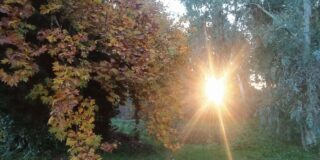 Βαγγέλης Μητράκος: Τελευταία επιθυμία