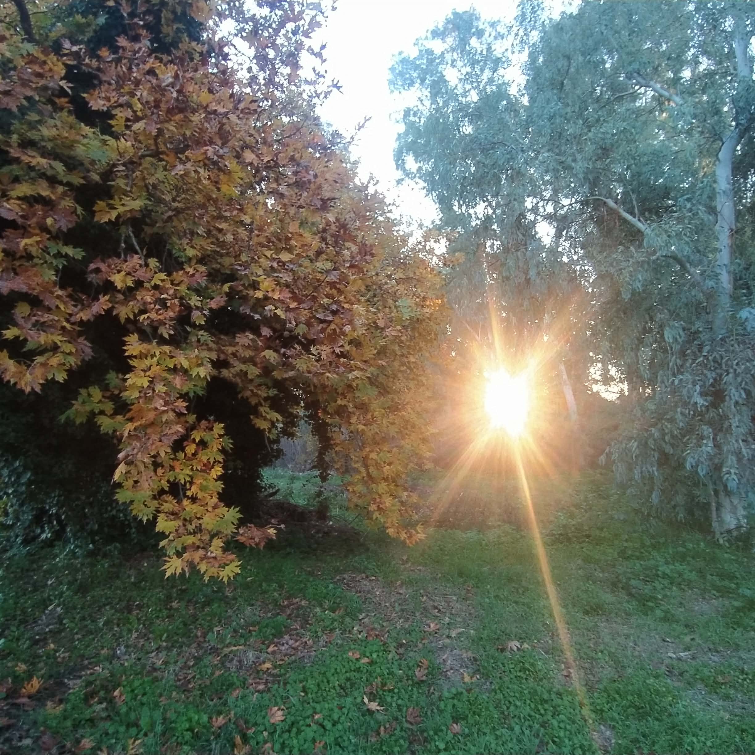 You are currently viewing Βαγγέλης Μητράκος: Τελευταία επιθυμία