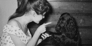 Φάνης Κωστόπουλος:   ΜΠΡΙΖΙΤ  ΜΠΑΡΝΤΟ            