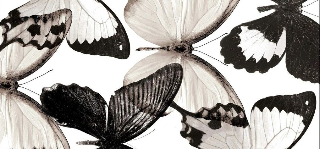 You are currently viewing Δήμητρα Κατιώνη: Πέντε ποιήματα