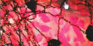 Παυλίνα Παμπούδη: Απόσπασμα από ΤΟ ΧΕΡΑΚΙ ΣΤΟΝ ΙΣΤΟ