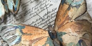 Δήμητρα Παλαπάνη, Ο έρωτας σε ενότητα δώδεκα χαϊκού