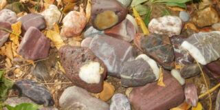 Βάλτερ Πούχνερ: Σκέψεις μικρές για θέματα μεγάλα  (28)