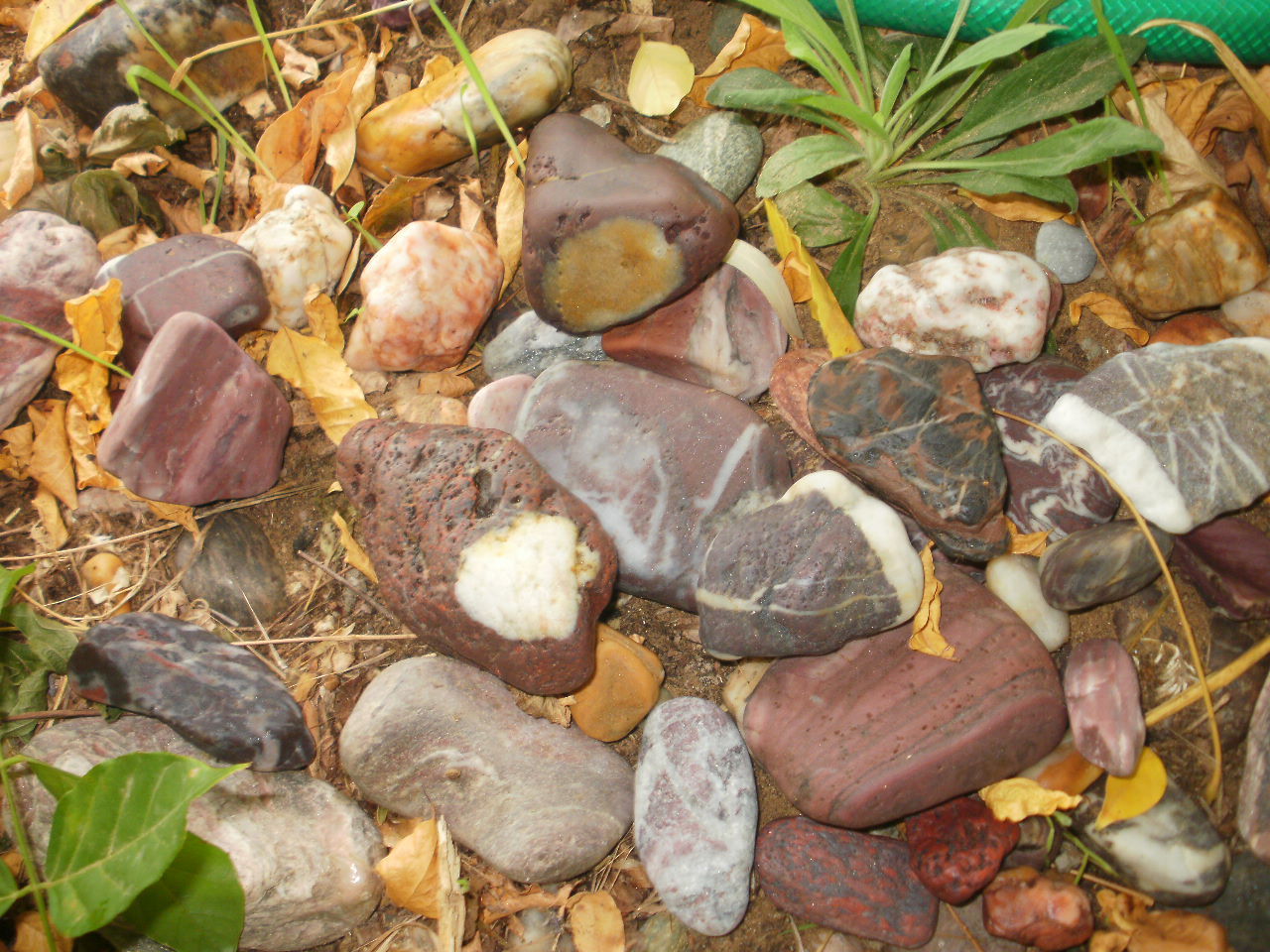 You are currently viewing Βάλτερ Πούχνερ: Σκέψεις μικρές για θέματα μεγάλα  (28)