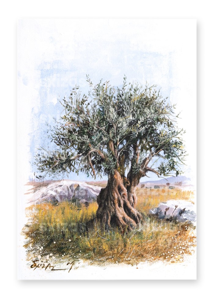 You are currently viewing Παρασκευή Μόλαρη: Η Ελιά