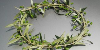 Ανδρέας Οικονόμου: Στον Ανώνυμο Δάσκαλο της Ρόδου   