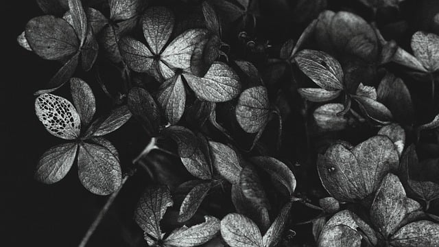 You are currently viewing Μένη Πουρνή: Δύο ποιήματα