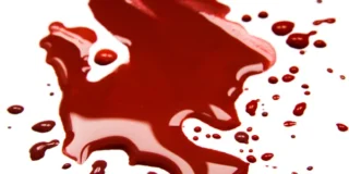 Γεωργία Παπαδάκη: ΑΙΜΟΒΟΡΟΣ