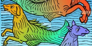 Λίζα Διονυσιάδου: Τρία χρόνια