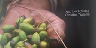 Φίλιππος Φιλίππου:Χριστίνα Τζαμάλα, Ελ-αιώνες. Στα μονοπάτια της ελιάς. Πρόλογος Κώστας Μουζακίτης, Μιχαήλ Αγάθος, William Alexander Yankes-Katherine Vallin-Yanks. Mετάφραση: Δημήτρης Δάλλας, Jim Potts, Βέρα Κονιδάρη, Βασίλης Πανδής, Εκδόσεις Φιλύρα, 2025, σελ. 148