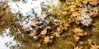 Έλενα Κουρή: Υλικά αξίας