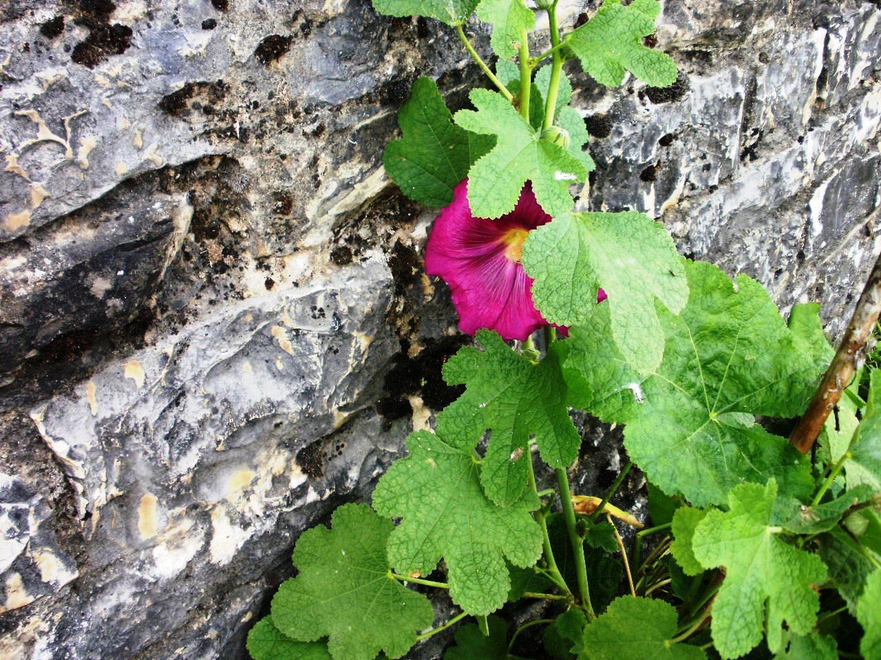 You are currently viewing Πηνελόπη Αλεξίου: Η ΑΠΟΣΤΡΟΦΗ