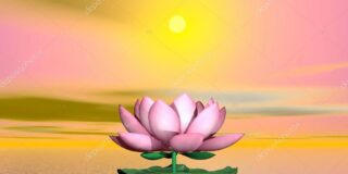 Χαρίκλεια Βασιλείου: ΚΑΨΙΜΟ ΑΠΟ ΤΖΙΝΤΖΕΡ