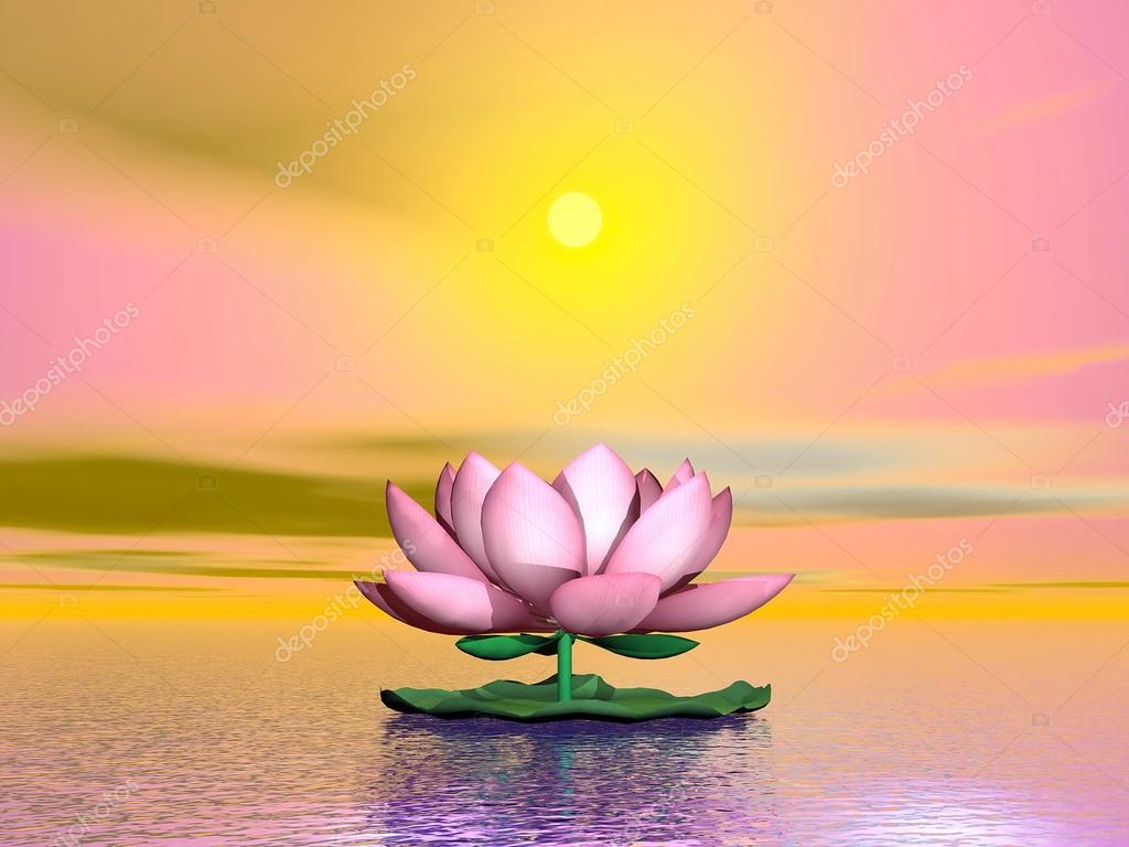 You are currently viewing Χαρίκλεια Βασιλείου: ΚΑΨΙΜΟ ΑΠΟ ΤΖΙΝΤΖΕΡ