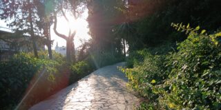 Κωνσταντίνος Μπούρας: Φύση, Ανθρωπότητα, Οικολογία.