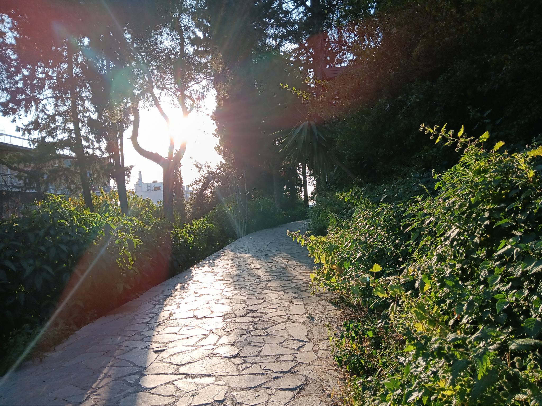 Read more about the article Κωνσταντίνος Μπούρας: Φύση, Ανθρωπότητα, Οικολογία.